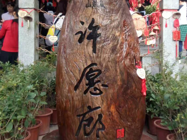 學(xué)習(xí)+運動+堅持！大家擼起袖子加油干！