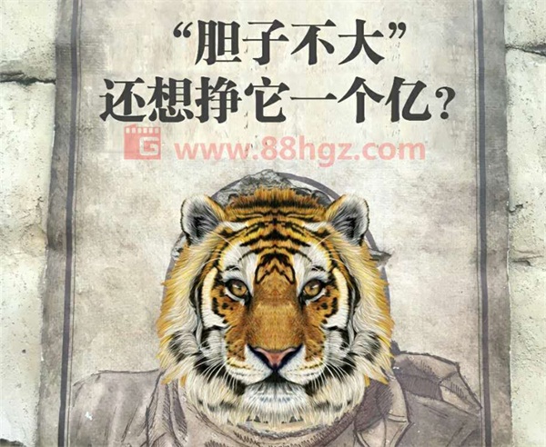 還能更高嗎？與迪瑪希共鳴的，是我們追隨企業(yè)宣傳片的信仰